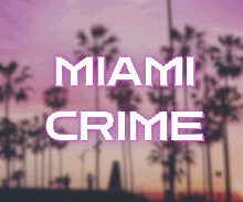 Miami Crime adult RPG
